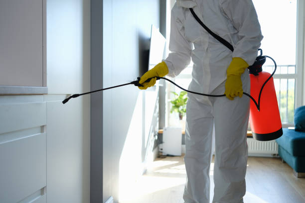 Best Insurance-Related Mold Remediation in Alderton, WA