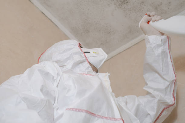 Best Attic Mold Remediation in Alderton, WA